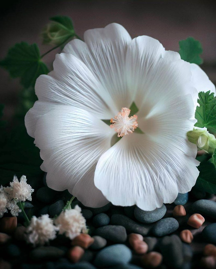 Miris za sveće White Musk