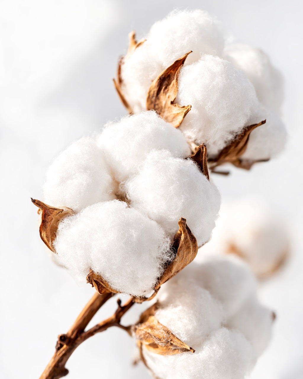 Miris za sveće Clean Cotton
