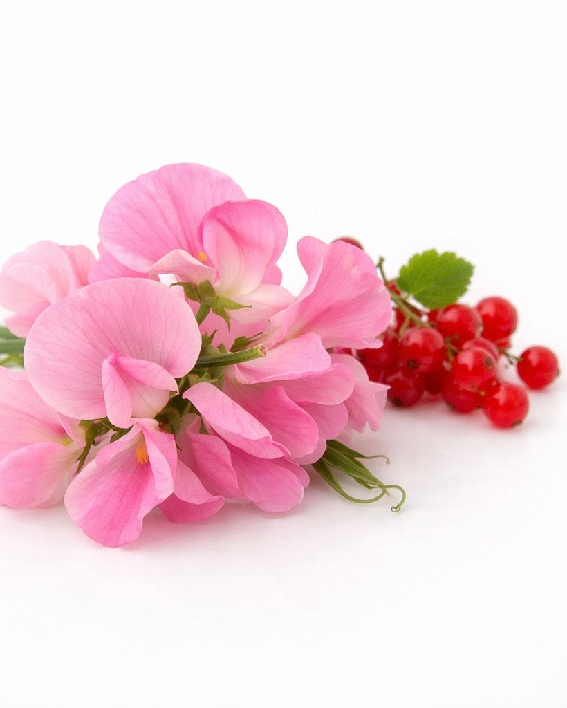 Miris za sveće Sweet Pea & Pink Berries