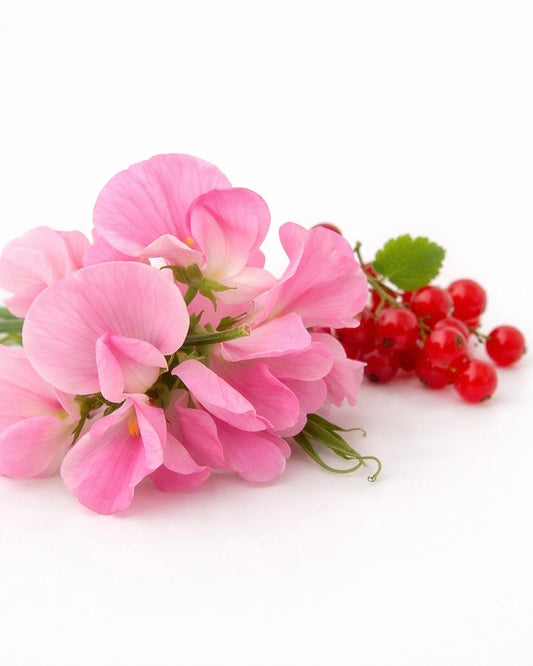 Miris za sveće Sweet Pea & Pink Berries